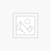 Uncategorized